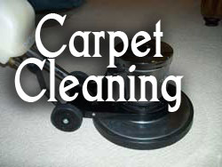 carpet rug cleaners in Channelview TX